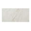Famed 12 X 24 Iconic Matte
