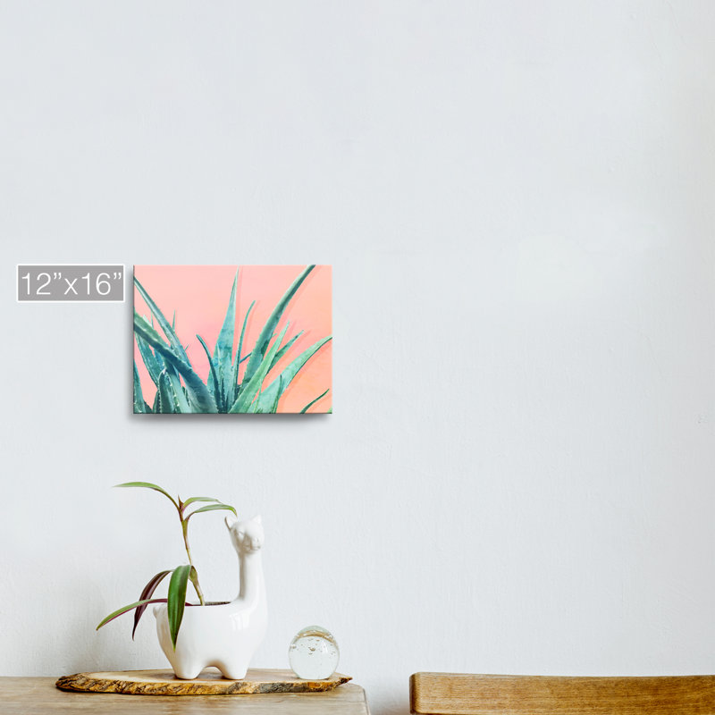 « aloe need », impression sur toile succulent, H 12 po x l 16 po x P 1,5 po, Toile tendue