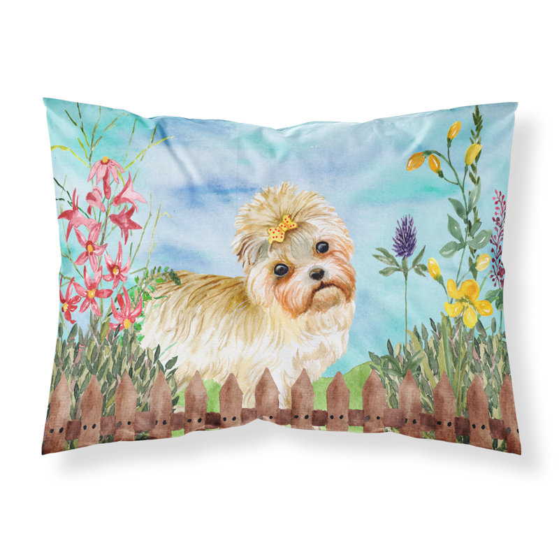 Alaskan Microfiber, Morkie