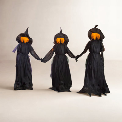 LED Lighted Witch Garden Stake