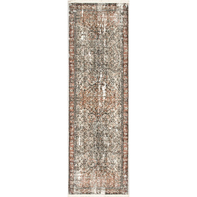 Aagna Distressed Medallion Power Loom Performance Brown/Gray/Ivory Rug