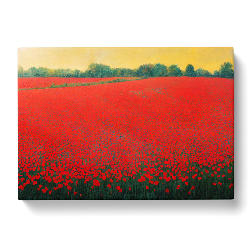 Idyllic Poppy Field Flowers - Wrapped Canvas, 35cm H x 50cm W x 3cm D