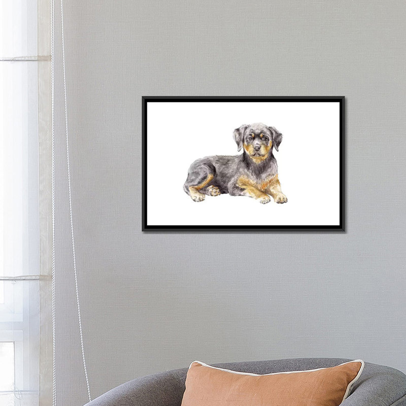 «Rottweiler Puppy», reproduction sur toile, H 18 po x l 26 po x P 1,5 po, Toile avec cadre noir, Pas de tapis