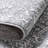 Oriental Indoor Rug-1708479675