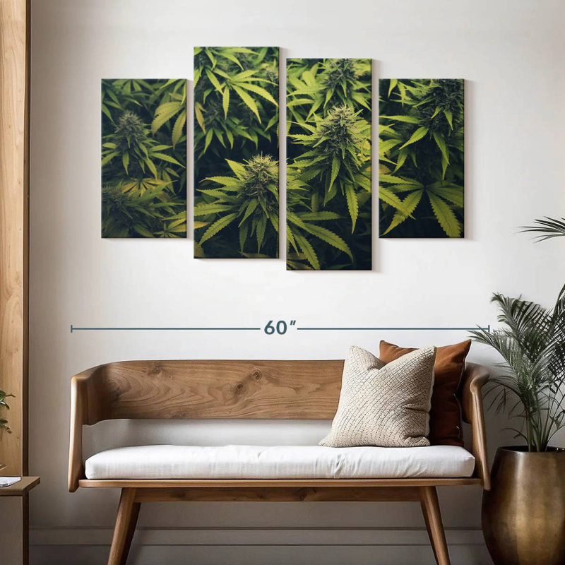 Jardin de bourgeons de marijuana, H 32 po x l 52 po
