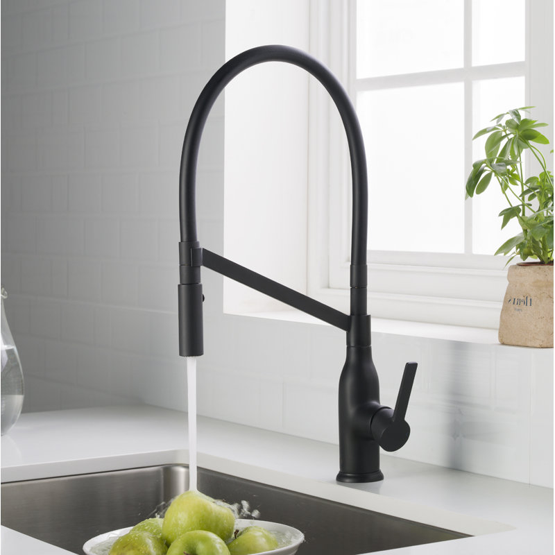 Latitude Run® Murray Kitchen Faucet, Matte Black