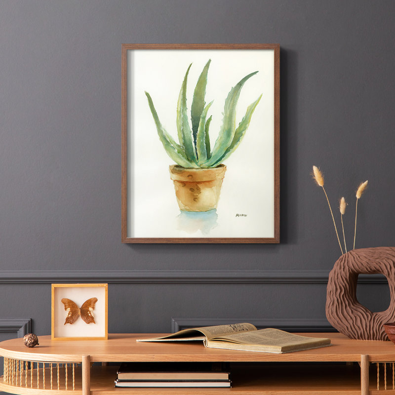 Succulent IV, reproduction encadrée - bois massif, Brun, H 28 po x l 22 po