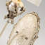 Elkin Armed Sconce
