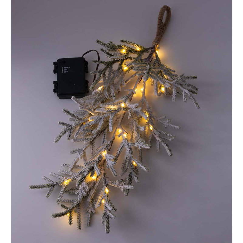 Swag with Lights