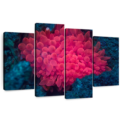 Brampt Pink Coral Reef