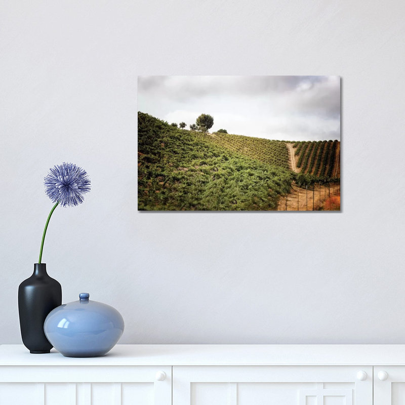 Paso Robles par Michelee Scott - Photographie sur toile tendue, H 12 po x l 18 po x 1,5 po