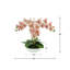 Orchids Arranged in Fiberstone Planter-272626195
