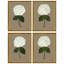 Pressed Hydrangea Set by Sandy Whitaker-721149598-721149599