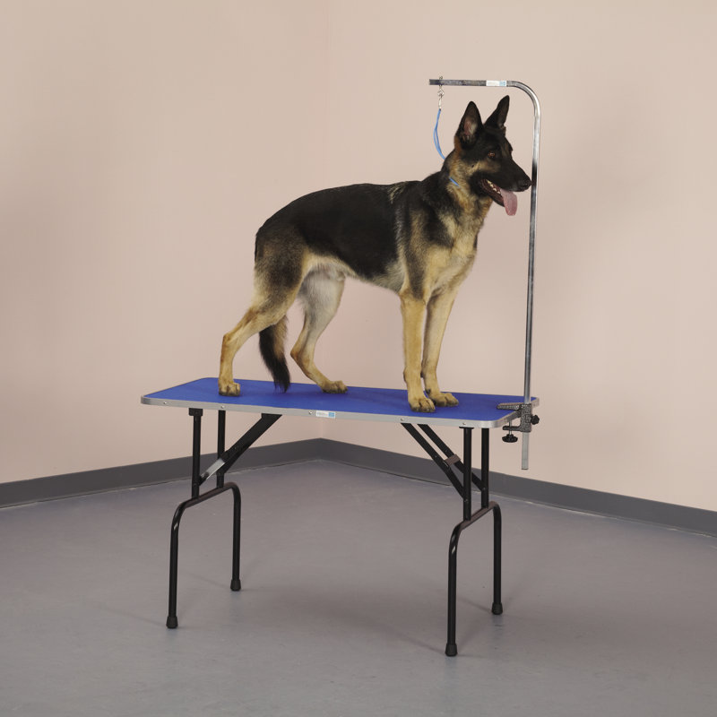 Table de nettoyage, 48" H x 26,8" lx 50,3" D, Mauve