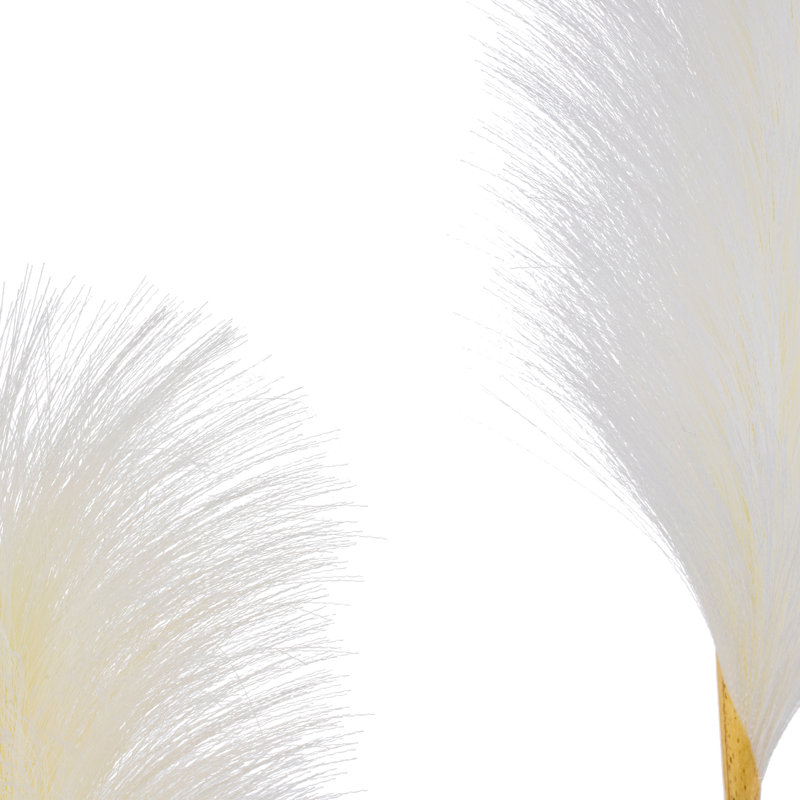 Polyethylene (PE) Pampas Arrangement