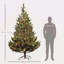 Arbre de Noël artificiel 7 pi, cèdre réaliste clairsemé avec lumières DEL bicolores et 2931 pointes, assemblage facile, arbre de Noël à charnières pour les vacances au bureau à domicile-118034249