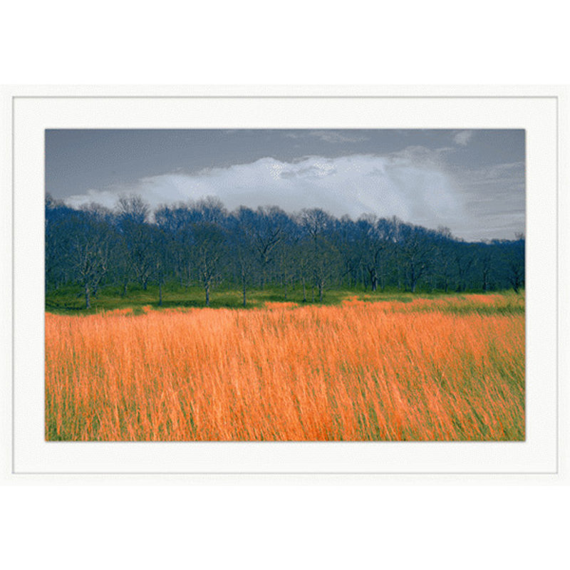 «Fields of Color 4» par Lillian August - Shadowbox, peinture sur papier