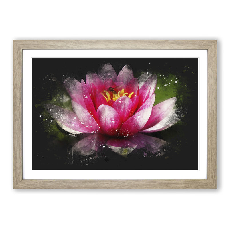 Pink Water Lily Flower Vol.3 - Picture Frame Graphic Art, 65cm H x 90cm W x 2cm D, Oak Framed