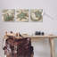 «Star Fish and Sea Shells Distressed Texture Blue Tan Design» par John Seba, ensemble de 3 reproductions d'art graphique