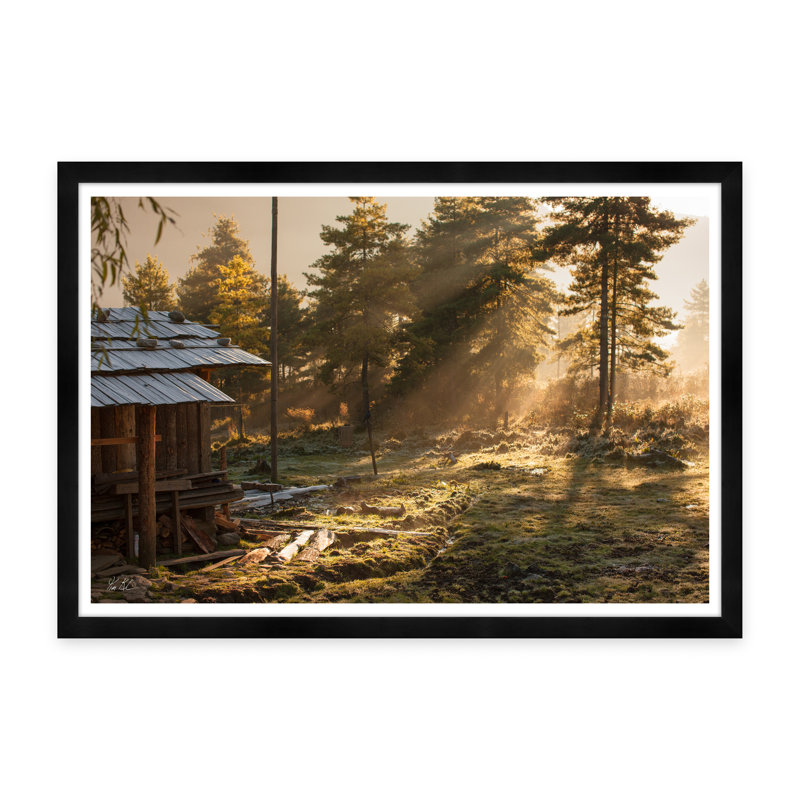 Morning Frost Print