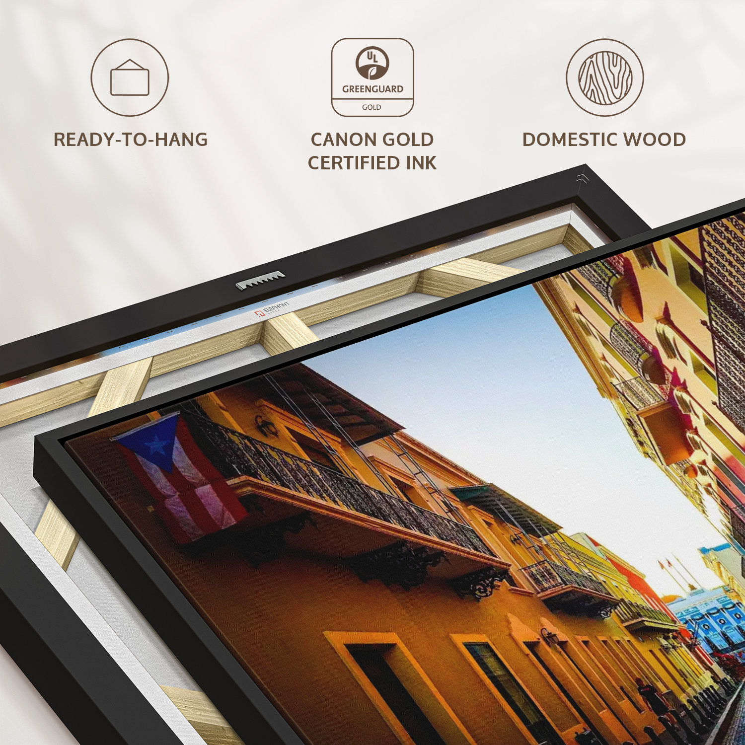 Elephant Stock Puerto Rican Street Canvas Print Wayfair