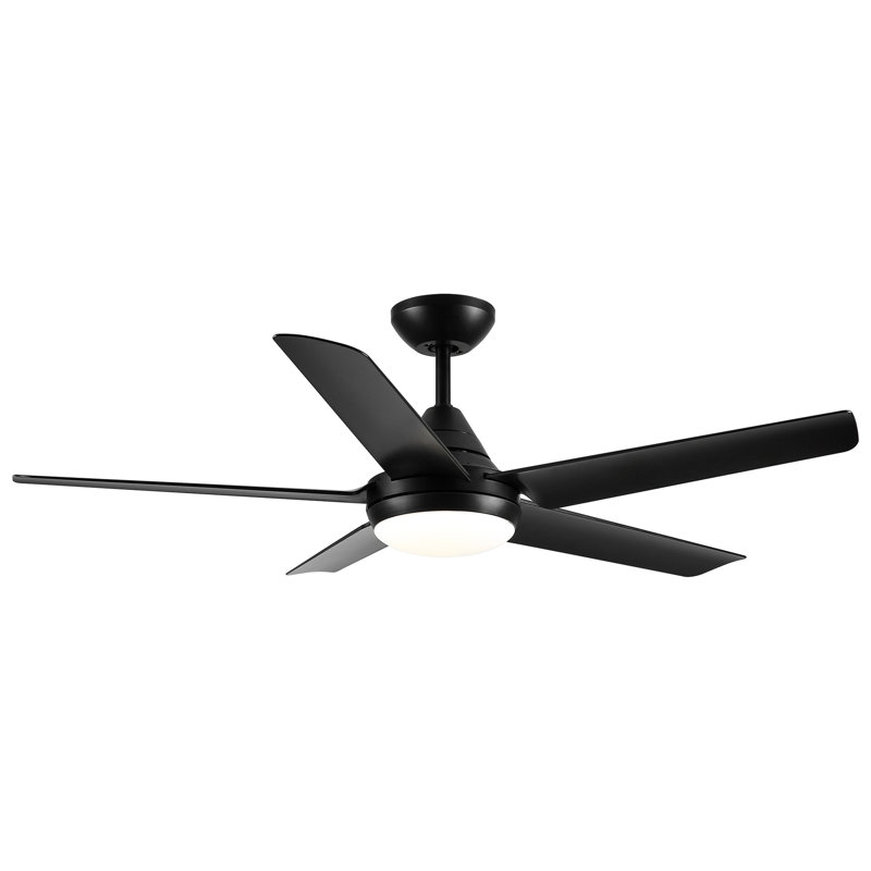 Ventilateur de plafond à DEL intégré 48 po avec lame en ABS, Noir