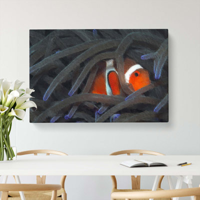 Peeping Clownfish - Wrapped Canvas