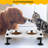 Anti-Skid Elevated Feeder-85845193