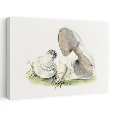 Hand Drawn Horse Mushroom Retro Vintage Horse Wall Art Print