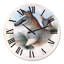 Horloge murale de kangourou rétro-60280771