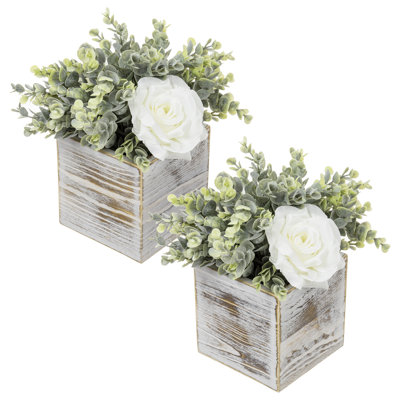 2 - Piece Artificial Plant Set