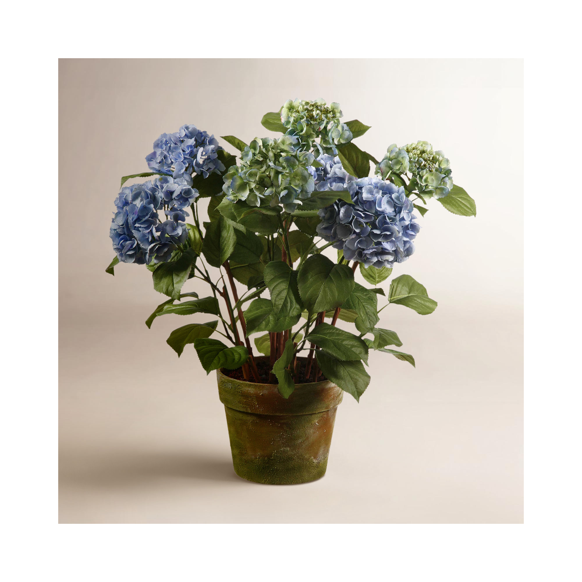 Hydrangea Centerpiece  in Pot, Light Blue