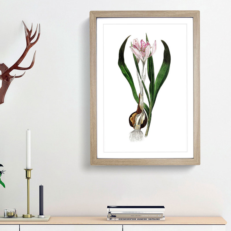 Autumn Crocus Flowers Illustration - Framed Print, 63cm H x 45cm W x 2cm D, Black Framed