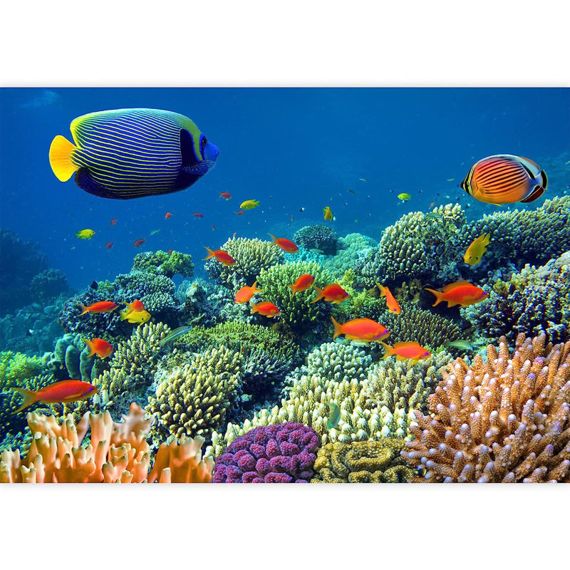 Adhésif mural tropical tropical bleu hippopotame, L 66 po x l 96 po