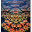 Oriental 200cm X 300cm Area Rug-117167354
