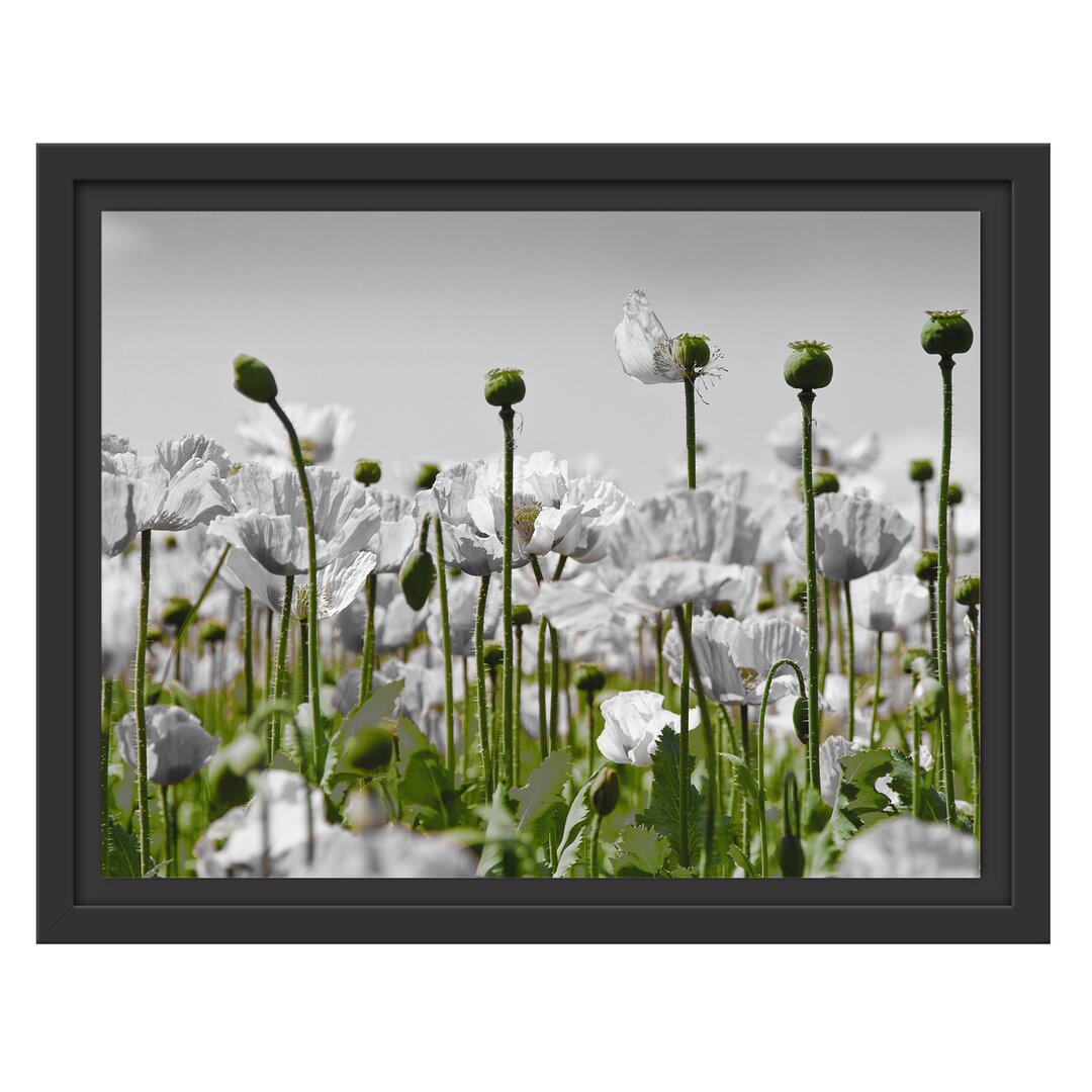 Gerahmtes Wandbild Blumenwiese Mohnblumen