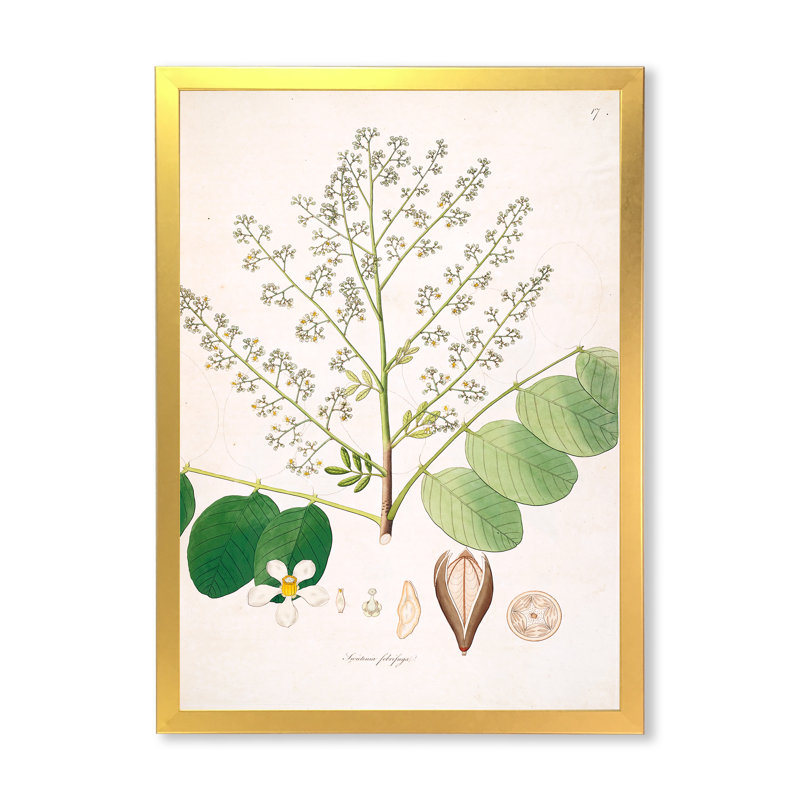 Botanique rétro - peinture sur toile, H 32 po x l 24 po x P 1 po, Cadre doré