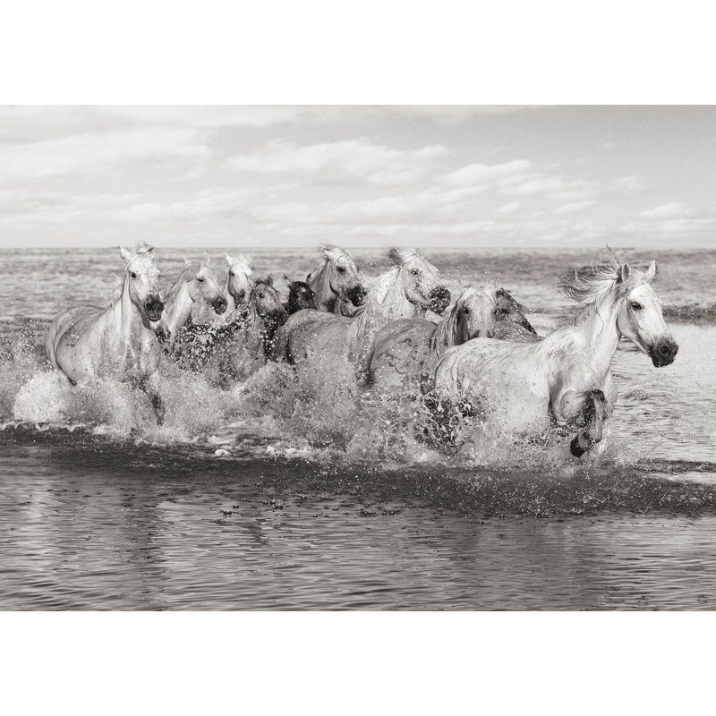 Herd Of Horses, Camargue - Wrapped Canvas Print, 70cm H x 100cm W x 4cm D