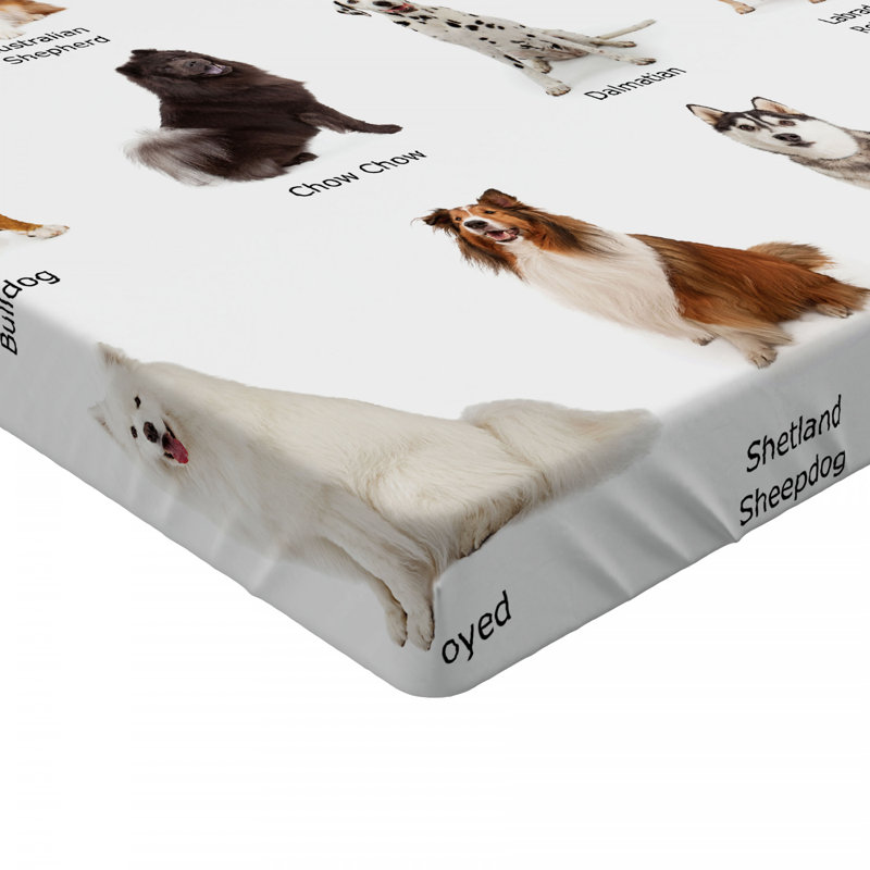 Microfiber Fitted Sheet, Queen Fitted Sheet