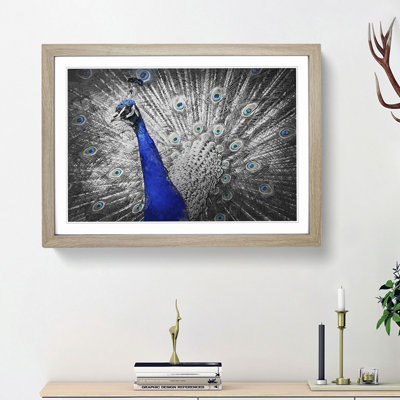 Peacock with Its Feathers Spread - Picture Frame Graphic Art Print on MDF