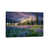 Wrapped Canvas