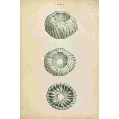 " Cylindrical Shells I " by Wood