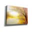 «Trees In A Golden Glow» par Marc Todd, Lark Manor, art mural sur toile-1214509525