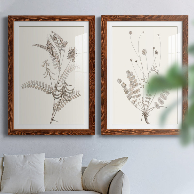 «Neutral Botanical Study VIIP», reproduction d'art encadrée - prête à être accrochée, Papier avec cadre érable, Blanc