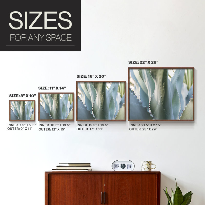 Agave bleue II - reproduction encadrée, H 8 po x l 10 po, Noyer