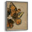 «Winged Wreath I», reproduction encadrée - bois massif-1532673000