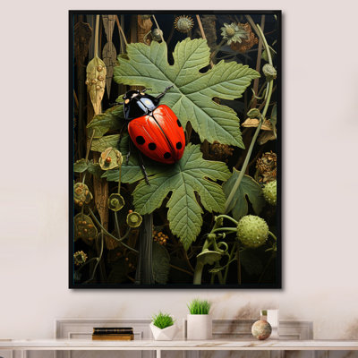 " Ladybug Ladybugs Leisure "