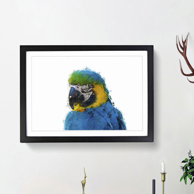 Macaw Parrot - Framed Print