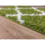 Tapis vert à poils longs Anie-1056067783