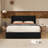 Jeilyn Upholstered Platform Drawer Storage Bed-715103005-715103003